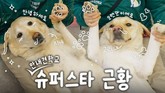 삼성화재 유튜브, 다양한 고객 커뮤니케이션으로 지속 성장