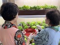 강서구, 치매 맞춤형 일자리 확대로 '기억을 잇는 희망' 이어가