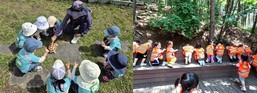 성북구, ‘2025년 하반기 유아 숲 학교’ 참여기관 모집