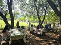 송파구, 올림픽공원 녹음 아래 ‘숲 태교 교실’ 운영