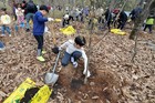 미래를 심는 실천, 노원부터 푸르게! 지구를 더 푸르게! 노원구, '100만 그루 나무심기' 본격 추진