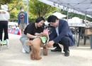 “우리집 멍냥이랑 가을 소풍 가자” 관악구, ‘동물과의 공존 한마당’ 개최