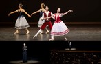 완성미의 절정, 고전 발레의 정수를 만나다” 마포문화재단, 해설이 있는 발레 'Ballet PlusⅡ- 고전발레로의 초대'