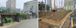 서대문구 충정로역 인근 철로 변 무단 점유 완충녹지 복원