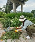 성동구,‘마을정원사’ 양성해 주민과 함께 일상 속 정원 넓혀간다