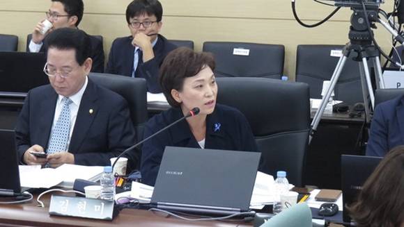 더불어민주당 김현미 국회의원이 지난해 기획재정부 국정감사에서 질의하는 모습. (사진=김현미 국회의원실)