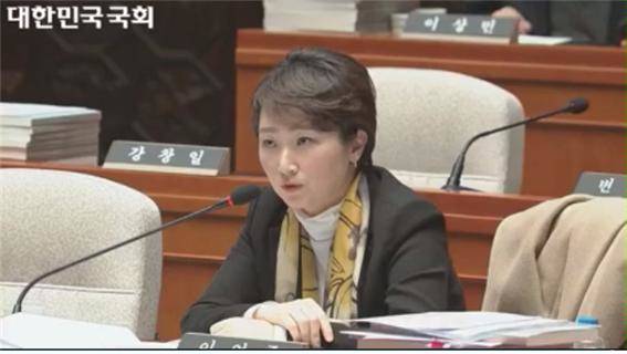 더불어민주당 이언주 국회의원이 지난 1월 개헌특위 5차회의에서 발언하는 모습. (사진=이언주 국회의원 공식사이트)
