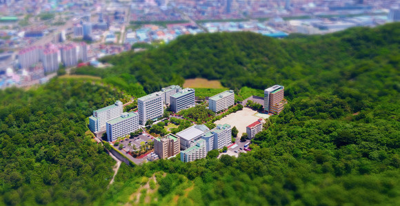 [기업과 사회] 부영그룹 창신대, 지역 강소대학으로 우뚝