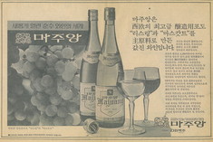 [대한민국 장수기업④] 와인 불모지서 긴 세월 살아남아 더 값진 이름 ‘마주앙’