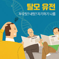 [홍성재 탈모 칼럼] 탈모는 부모 탓? 하지만 30%는 내 탓