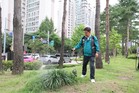 박강수 마포구청장 “러브버그, 주민 불편을 최소화하는 것이 구의 역할”