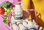 남양유업, ‘불가리스 설탕 무첨가 플레인’ 출시…“저당 라인업 강화”