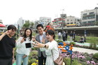 관악구, 별빛내린천 일대 가을 국화정원 조성