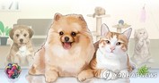 손해보험사, 배타적 사용권 확보 경쟁 치열