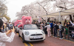 롯데홈쇼핑 벨리곰, 여의도 벚꽃길서 팬들과 만난다