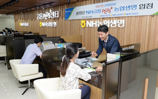 금융당국은 금융지주사별로 3개 이내의 복합점포를 시범적으로 운영한 성과를 점검한 이후 제도의 확대 여부 등을 종합적으로 검토할 예정이다. 사진 = 농협금융