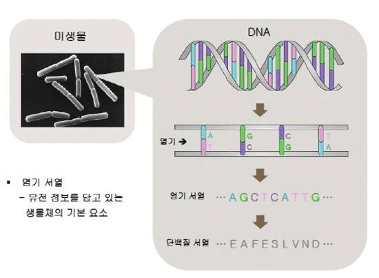 미생물의 염기서열은 ‘자신을 나타내는 족보’나 마찬가지다.